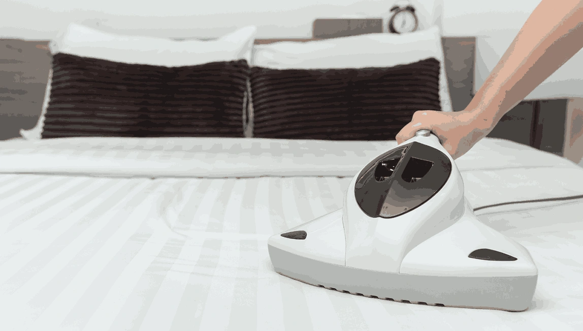 Professional Mattress Cleaning Langwarrin
